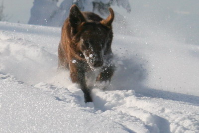 Loas Sattel - fullt ös