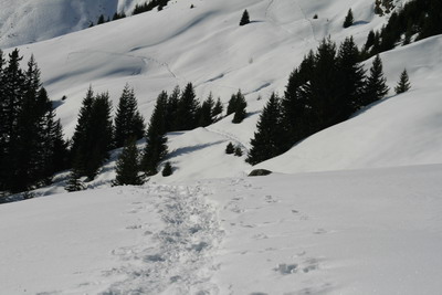 Snövandring i Fiss