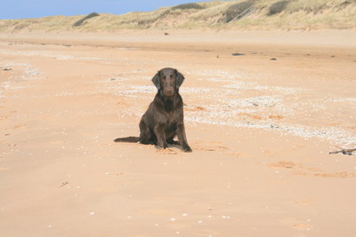 På stranden i Mellbystrand
