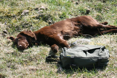Internat i Flathult är anstängande
