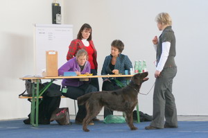 Innsbruck Ausstellung