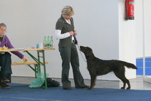 Ausstellung Innsbruck