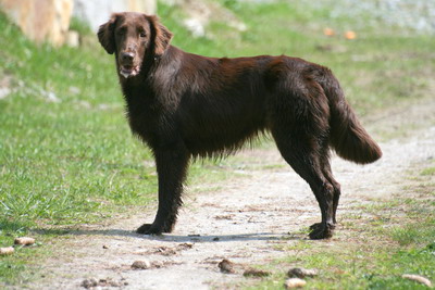 russin-im-mai-2009 russin-im-mai-2009