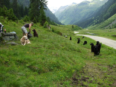 Workshop-Vbg-Juni2009 009