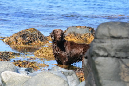 kattvik I kattvik var vi också