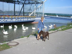 Tulln 2009