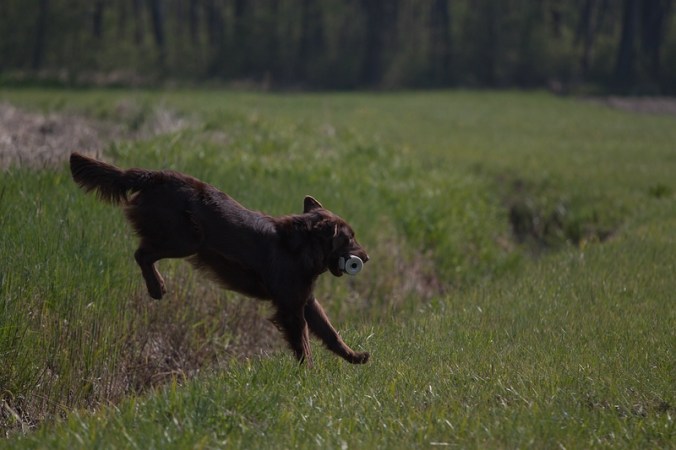 © Kalinovski  Eugen