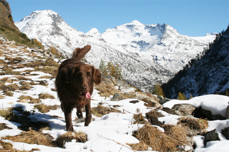 Russin Innergeschlöss