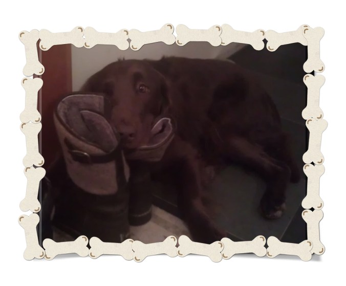 IMAG0105_bearbeitet-1