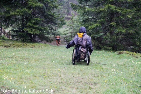 VITA Moosalmcup 2013 WT+ Siegerehrung-53