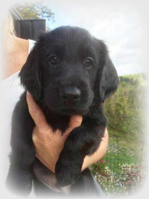 IMG_2414.JPG-for-web-large1