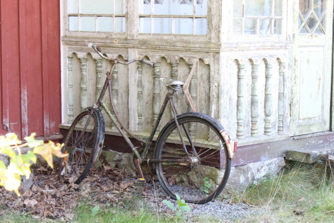 Glömd Sommarcykel91