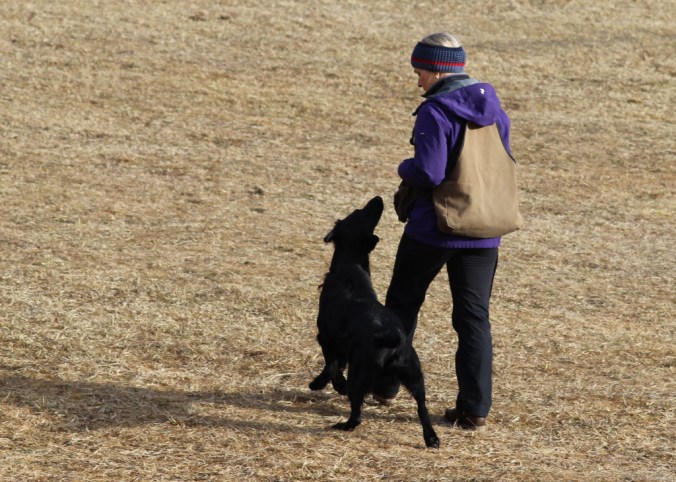 img_6468_bearbeitet-1