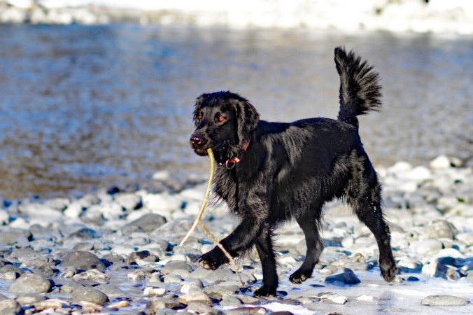 08-img_6636_bearbeitet-1