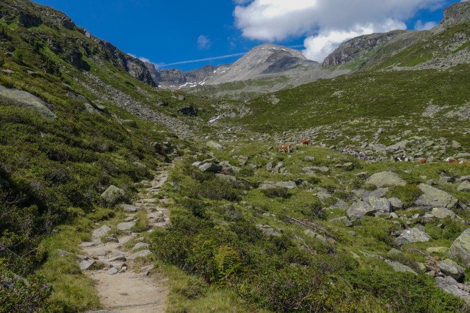 Zilllertal 31072018-10