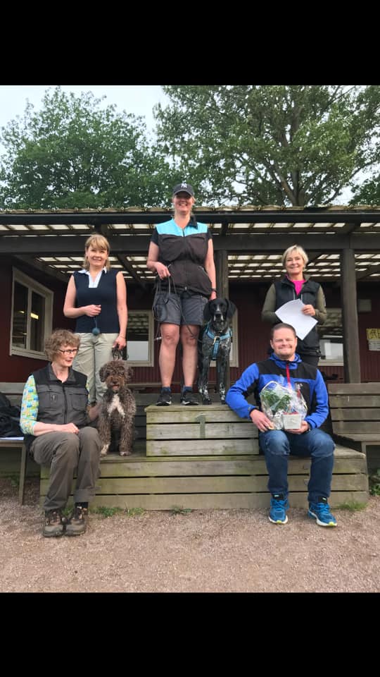 64127722_3045242868893160_4437028510455824384_n