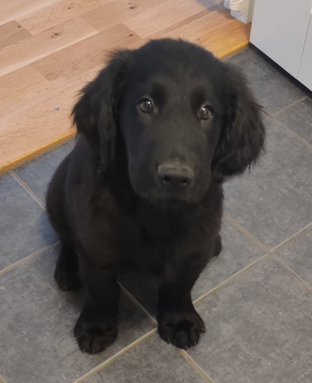 203507135_594803955256545_7383661063668960733_n